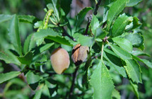 ���������������ּ���