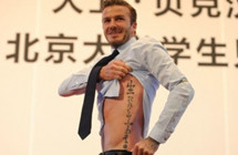 С�������ݽ���������������