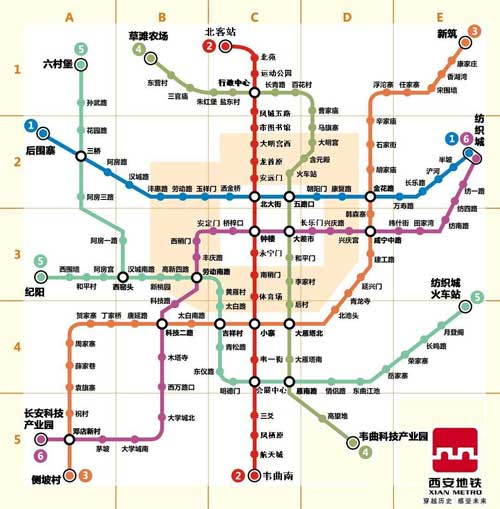 沙坪坝2020年1一8月GDP_一年级看图写话(2)