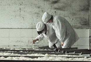 圖為工人精選大米作為釀酒原料
漢中之行—陝西秦洋長生酒業有限公司釀酒廠
位於漢中洋縣的陝西秦洋長生酒業有限公司是集白酒、黃酒生產銷售為一體的股份制企業,其中該廠的謝村黃酒釀造技藝入選陝西省第一批“非物質文化遺產”保護重點名錄 。