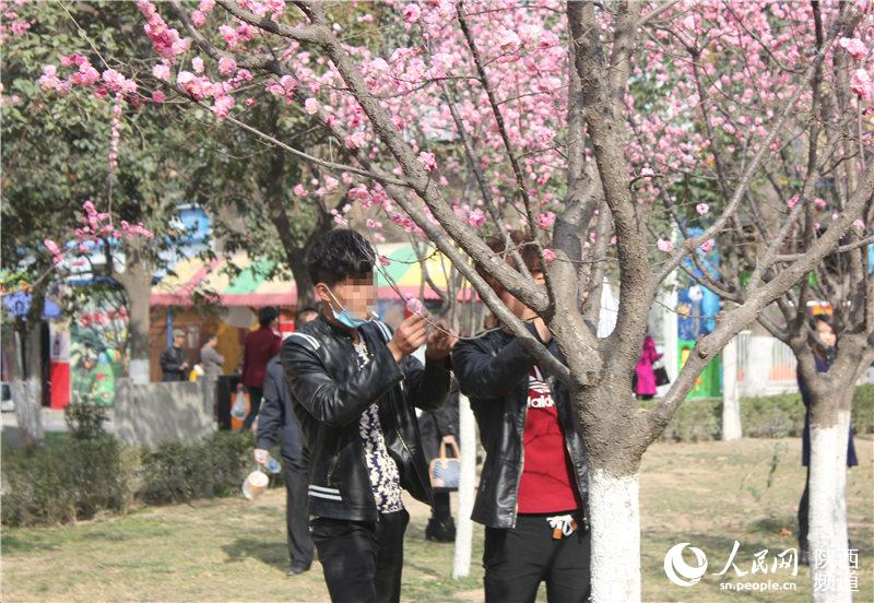 公园拍照不文明现象多:赏花还需护花
