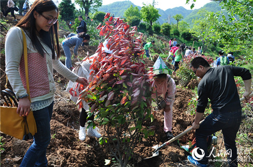 陕西百名志愿者秦岭植树 践行保护秦岭生态理