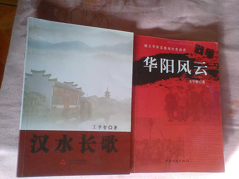 陕西洋县作家王学智两部长篇小说出版发行