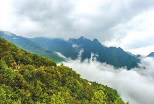 绿水青山就是金山银山_绿水青山看法英语作文