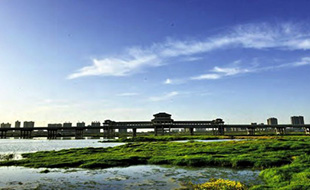  陝西省渭河生態區總體規劃及建設情況渭河是黃河的最大支流，是陝西人民的母親河，在陝西乃至西部經濟社會發展中佔據著重要戰略地位。[詳細]