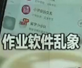 作業App暗藏網游        去年11月，央視新聞頻道曾就“中小學生學習類App”中出現涉黃內容亂象進行了曝光。