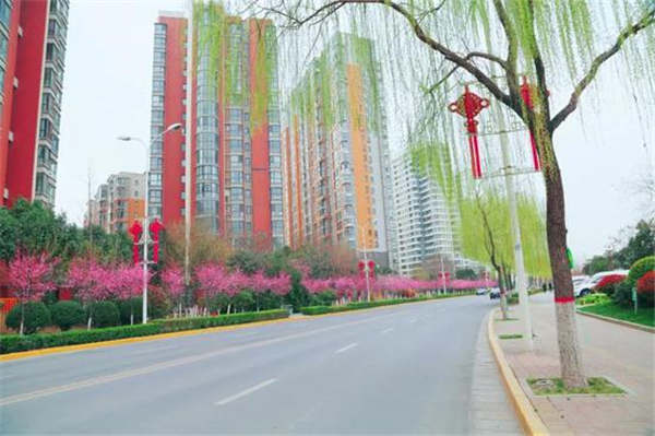 浐灞又添漂亮街道 歐亞三路綠化提升工程開工建設【2】