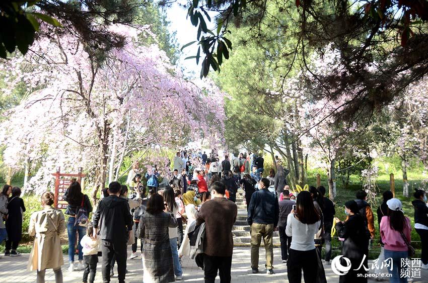 雖然天氣炎熱，但青龍寺內依舊游客如織。人民網 白鴿攝