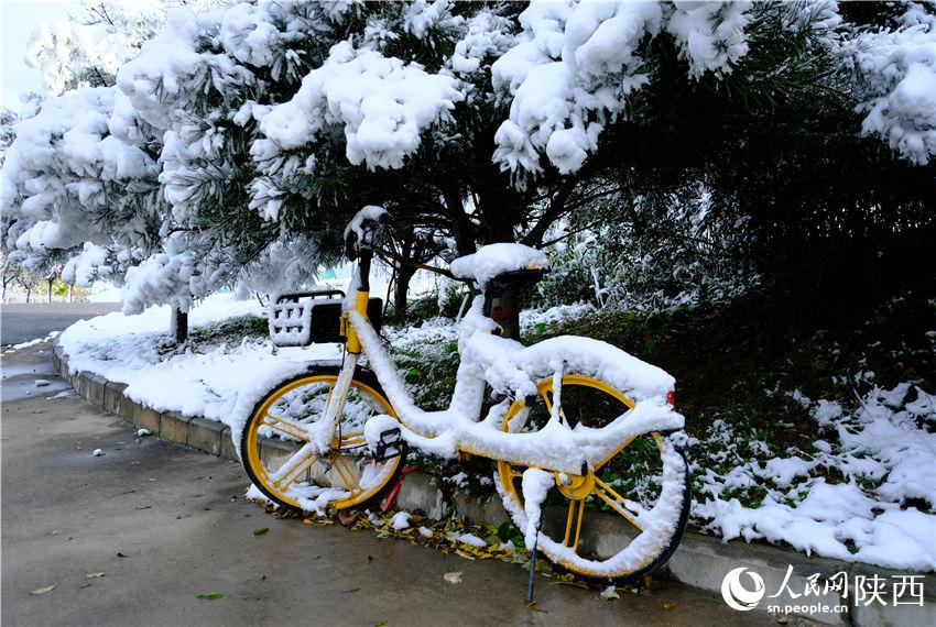 11月6日晚，古城西安迎來2021年第一場雪。吳超攝