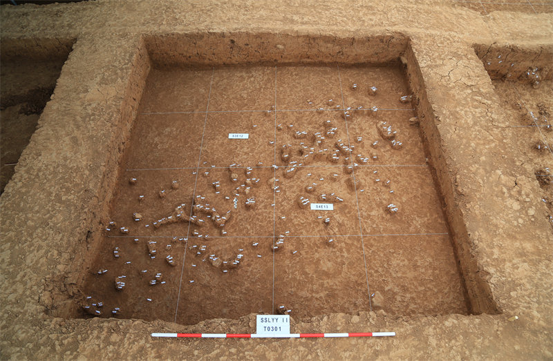 探方內石制品分布狀況。陝西省考古研究院供圖