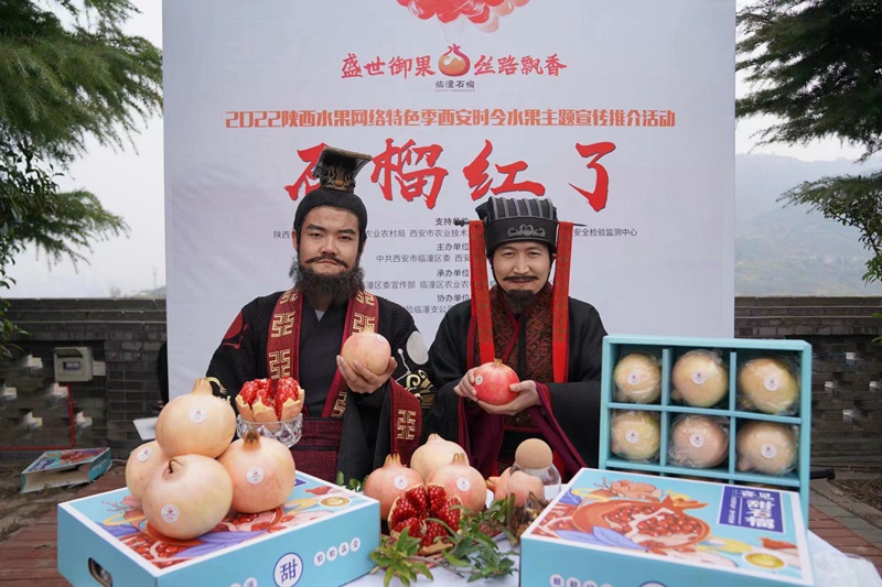 2022陝西水果網絡特色季•西安時令水果“石榴紅了”主題宣傳推介活動現場。王三合攝