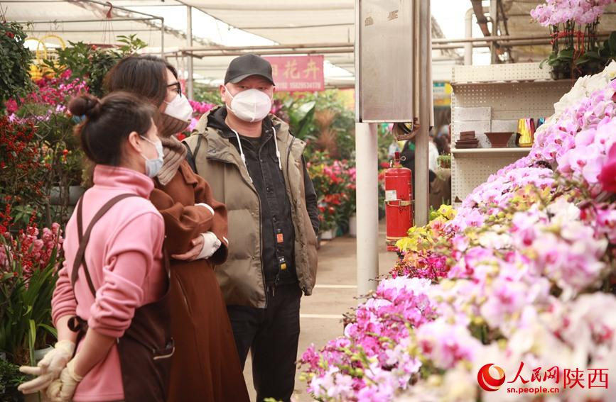 朱雀花卉市场内，店主正在为顾客介绍年宵花蝴蝶兰