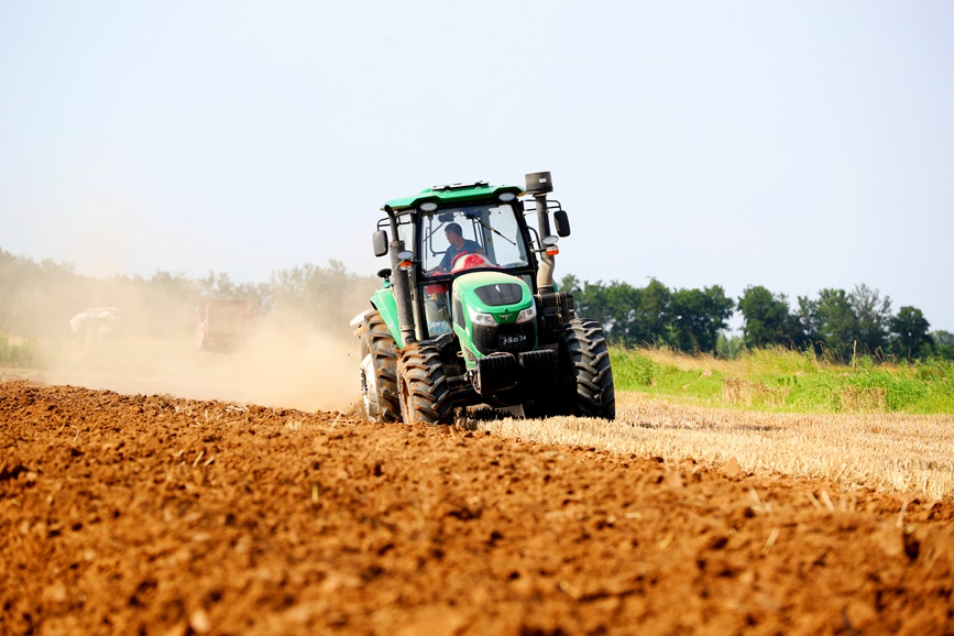 农户驾驶农机在小麦收割后的田间犁地。  牛纲摄