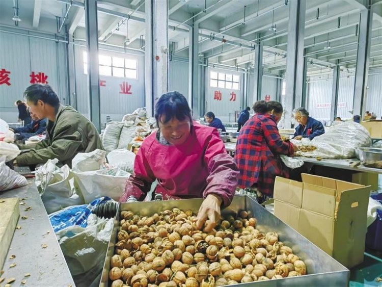 做足特色做深融合做实联带做强支撑