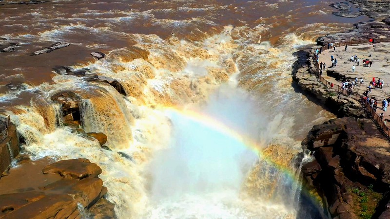 黄河壶口瀑布现彩虹通天浊浪翻滚景象。宋洋波摄