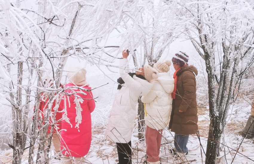 旅客們在秦嶺賞雪，游玩，拍照留念。呂春輝攝