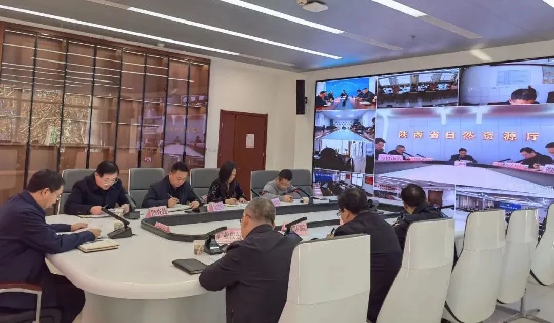 陕西省自然资源厅安排部署全系统地质灾害防治和安全生产工作
