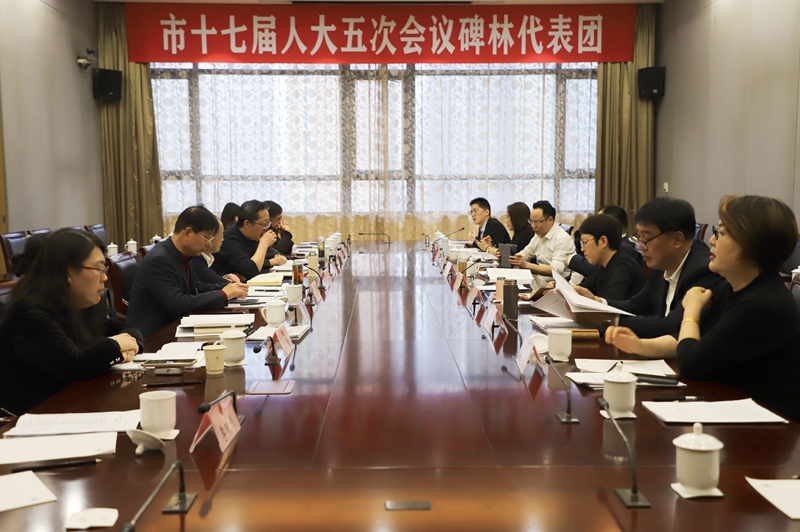 西安市十七届人大五次会议碑林代表团审议现场。人民网记者孙挺 摄