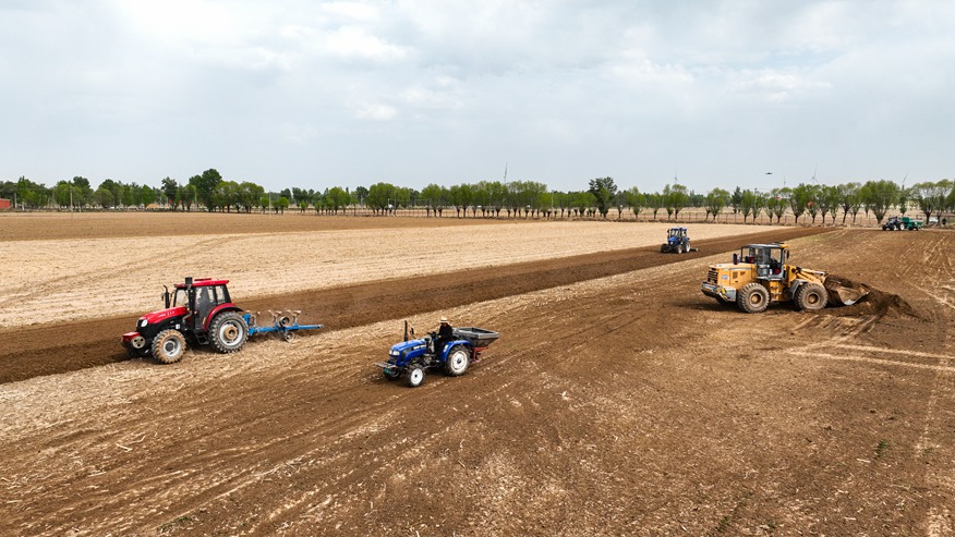 榆林市榆陽區巴拉素村村民正在玉米地裡用施肥機施肥。 丁樹平 攝