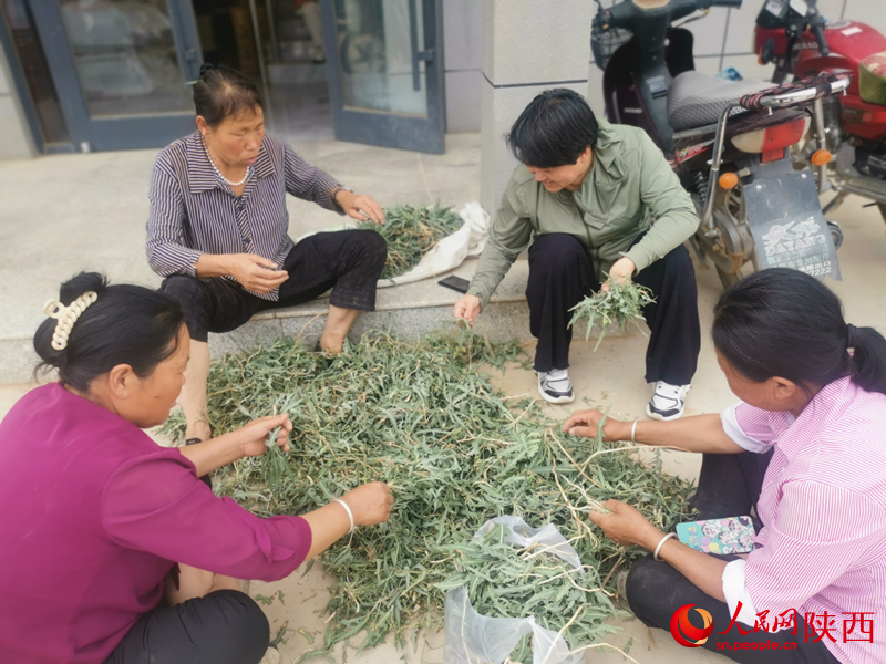 白秀叶（右二）在村委大院和村民们拉家常。人民网 王丽摄