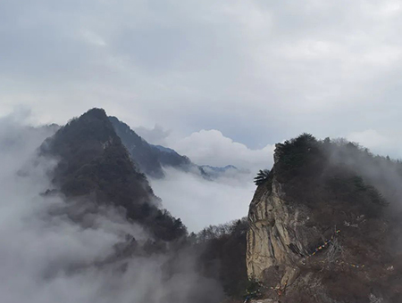 《巉峰晚岚》/