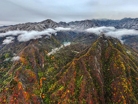 《半山红叶半山雪》组图/