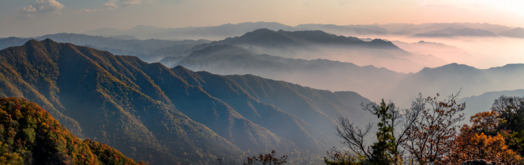 《秋染王顺山》/