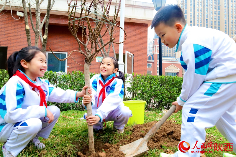 3月10日，西安市曲江第二学校学生们共同植树。人民网记者 孙挺摄