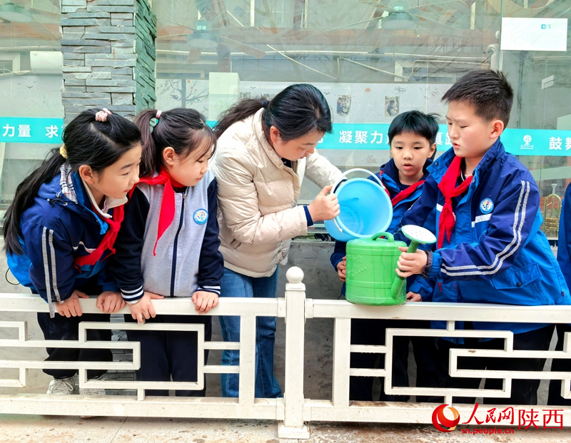 3月11日，西安市碑林区东厅门小学四年级2班的同学们在老师带领下合力将泡好的化肥水倒入花洒，有序为校园树木浇水。人民网记者 孙挺摄