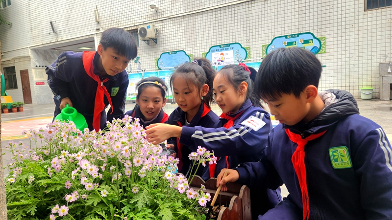 3月10日，西安市蓮湖區青年路小學植物養護小隊的同學們為珍稀瀕危植物“陝西羽葉報春”澆水、除草。西安市蓮湖區青年路小學供圖