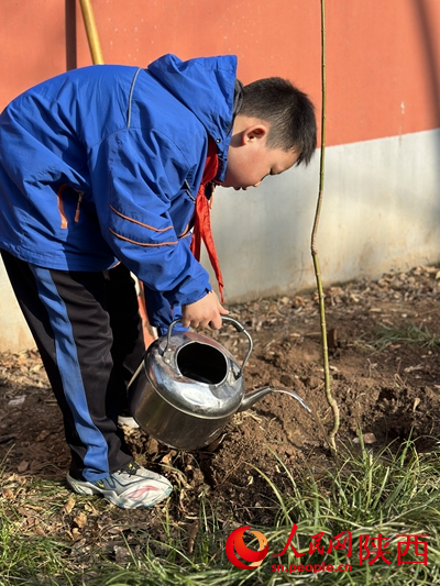 3月11日，西安市碑林区雁塔路小学学生在陕西戏曲大观园完成白蜡树栽植。人民网记者 孙挺摄