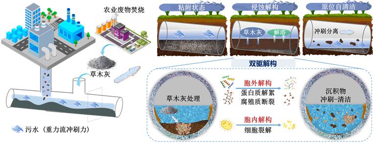 草木灰驱动污水管道沉积物原位自清洁应用场景示意图。受访者供图