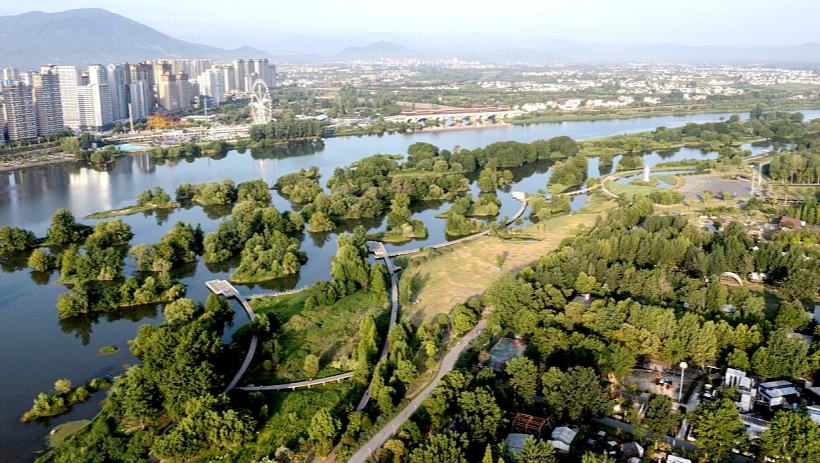 汉江之畔“幸福园”的生态图谱夏至汉江畔，陕西省汉中市天汉湿地公园风光正好。目之所及，芙蓉出水，绿裙摇曳；水鸟翩跹，游人如织。