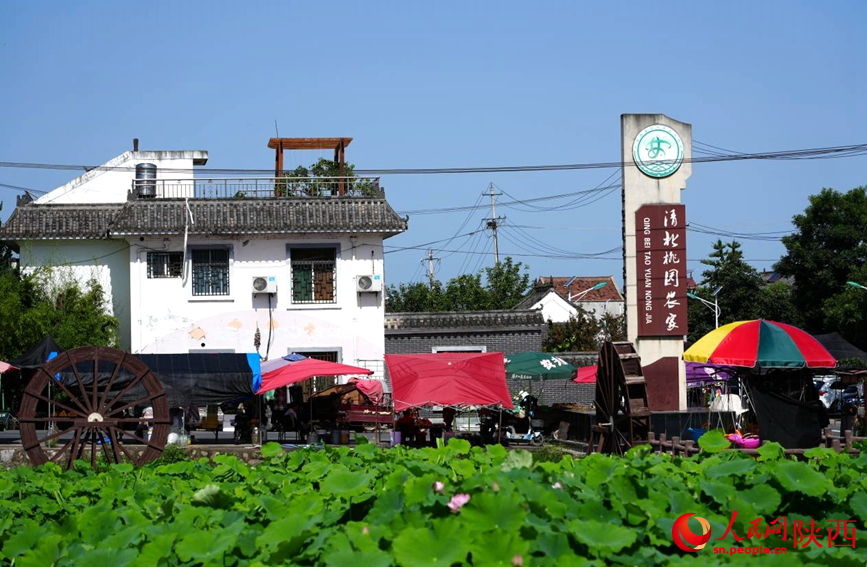 清水头村。人民网 王丽摄