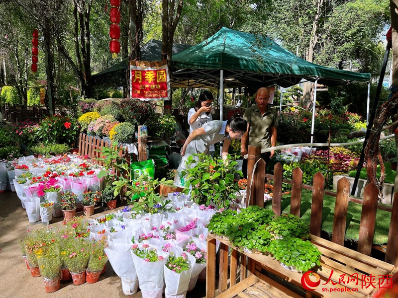 在秦嶺花世界花卉市場，市民選購鮮花、綠植。人民網記者 魏鑫攝
