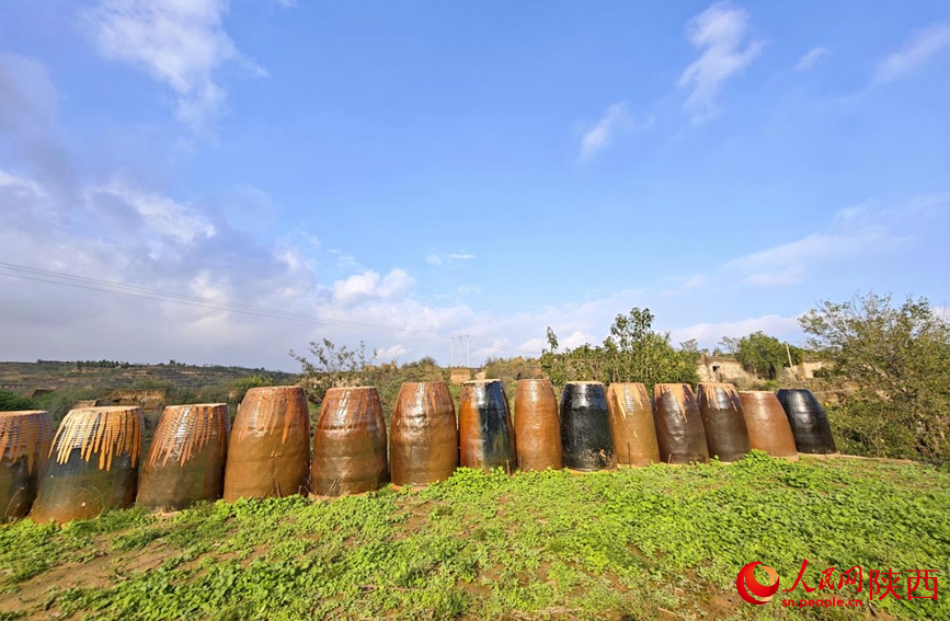 鑲嵌在農家院落內外的瓷瓮,用來收集雨水。人民網 王麗攝