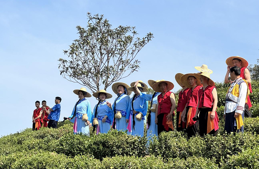 紫陽民歌手在茶山對歌。鄭曉虎攝