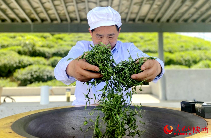 非遺代表性傳承人現場展示紫陽毛尖手工制茶。人民網記者 鄒星攝