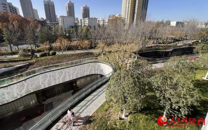 俯瞰幸福林帶。人民網記者 鄒星攝