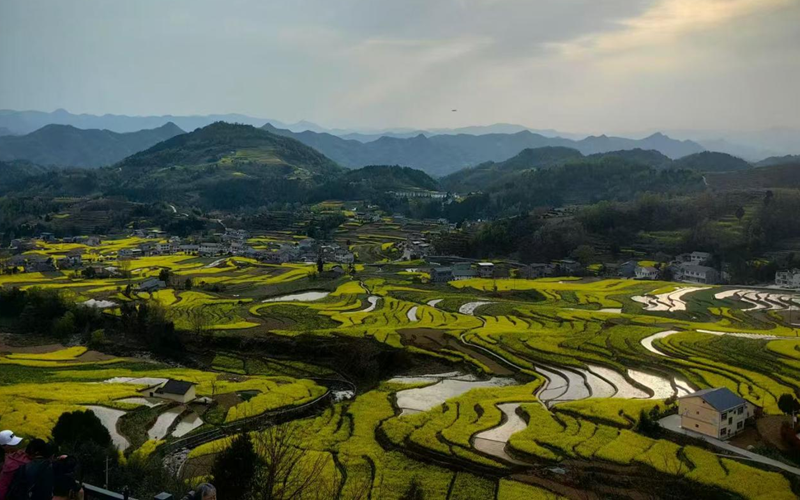 漢陰鳳堰梯田。受訪者供圖