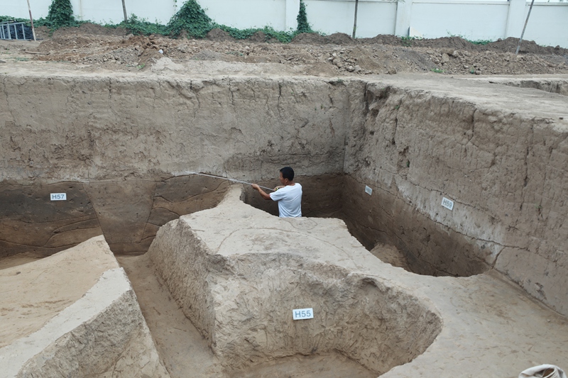 蔣劉遺址考古現場（資料圖）。陝西省考古研究院供圖