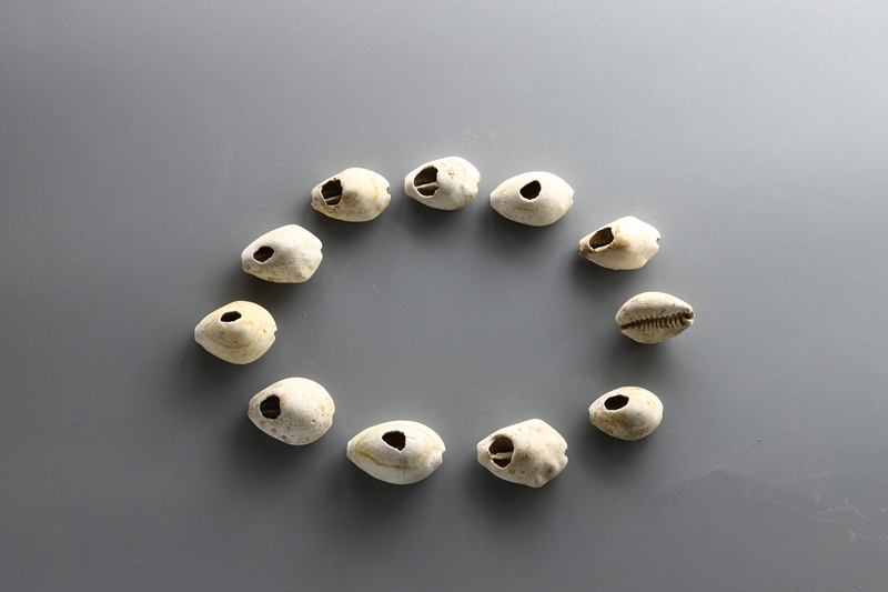 蔣劉遺址出土文物。陝西省考古研究院供圖