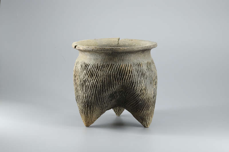 蔣劉遺址出土文物。陝西省考古研究院供圖