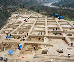 2025年度中國西北地區重要考古進展揭曉