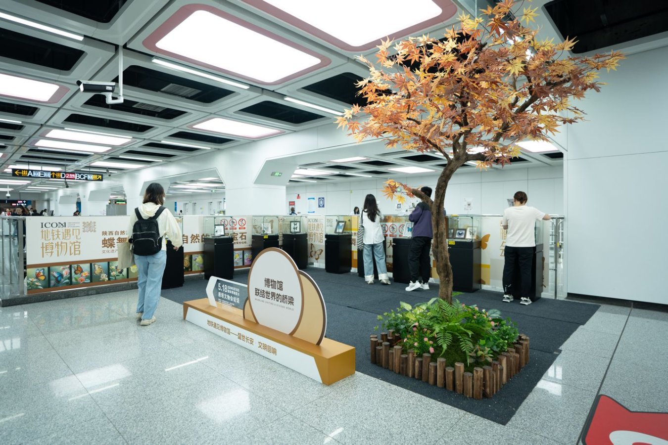 主题展览现场。西安市文物局供图