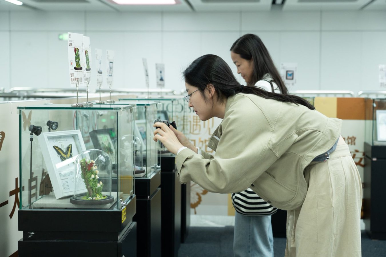 市民游客在西安地铁电视塔站参观主题展览。西安市文物局供图