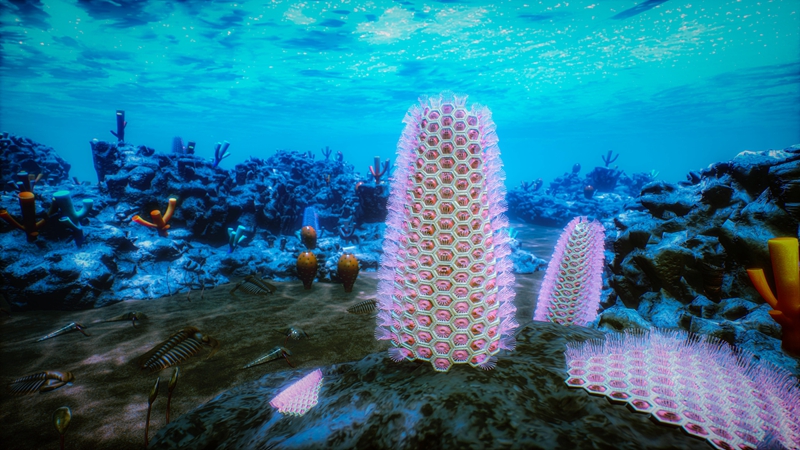寒武纪仙女洞时期浅海古杯礁场景、原始蜂巢虫和大营蜂巢虫的复原图。西北大学供图