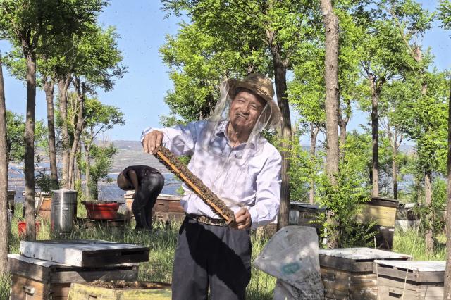 十萬畝生態林留住養蜂人