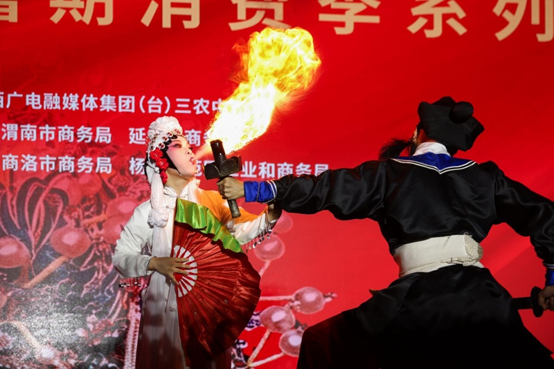活动现场的“吹火”表演。陕西省商务厅供图