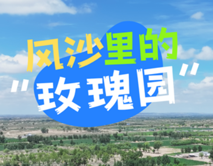 榆林向西65公裡，毛烏素沙地南緣，榆陽區補浪河鄉綠意綿延。風穿過楊樹林，枝葉“沙沙”作響，像在訴說著陳年往事——曾經，這裡風裹著沙，打得人臉生疼﹔如今，草木清香，沁人心脾。